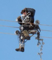 Веселые картинки про находчивость