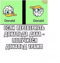 Смешные комментарии и высказывания из социальных сетей