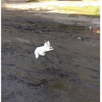 Сама пришла