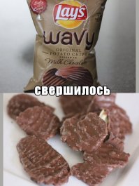 Как выглядят продукты и вещи до того, как обретают привычный нам вид