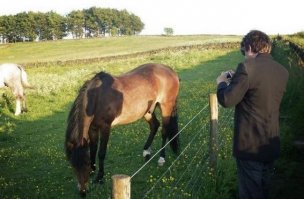 20 теней, которые выглядят обычными только на первый взгляд