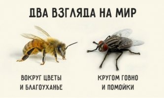 "Россия учит рассчитывать только на себя". Итальянец о жизни в Петербурге