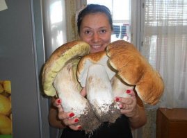 Кто подскажет как такое вырастить? :)