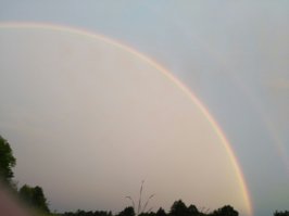 без всяких обработок) днепробугский канал