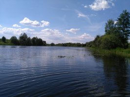 без всяких обработок) днепробугский канал