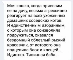 Смешные комментарии  из социальных сетей