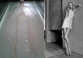 АНОРЕКСИЯ

ожидание___________________РЕАЛЬНОСТЬ