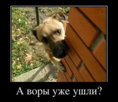 5 самых трусливых поступков, совершённых в критической ситуации