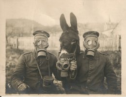 Подборка редких исторических фотографий
