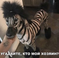 Хозяина зовут Алекс.