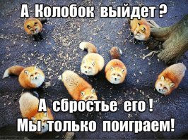 День начался с улыбки. Спасибо!          
Брошу свои 5 копеек.