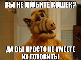 Щавелевый суп, холодец, окрошка – реакция иностранцев на русскую кухню