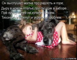 Эти собаки охраняли маленькое сокровище, брошенное умирать в лесу