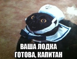Столкновение между поворачивающим и обгоняющим