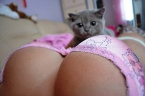 Подборка автомобильных приколов