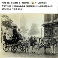 «Папина новая тачка» Instagram аккаунт о жизни неприлично богатых родителей