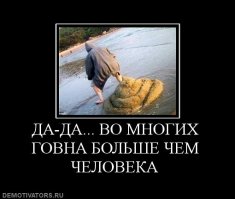 Не всё дерево, что горит