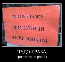 Рыночная романтика, которую не в силах переплюнуть ни один магазин