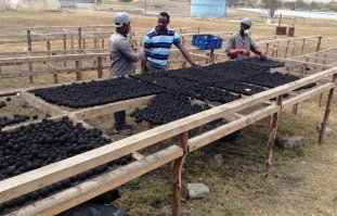 Почему "полосатый" без каски?
Куда инспектор по ТБ смотрит?