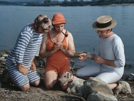 В 80м взяли фокса. Отчасти под влиянием этого фильма.