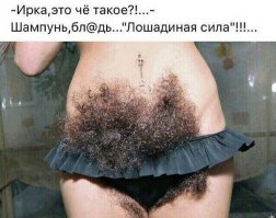Прикольные фотомемы дня!