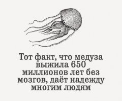 10. У морской звезды нет мозга. (с)