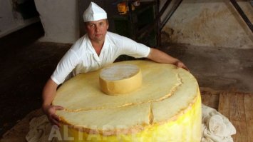 А сыр на два пальца отрезать вдоль или поперек?