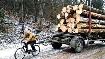 Каждый житель России имеет право на лес
