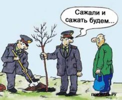 Каждый житель России имеет право на лес