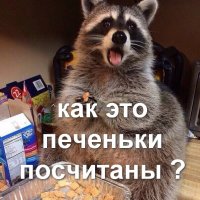 5 шокирующих привычек англичан 