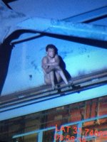 Угнал внедорожник из салона, ворвался в порт, забрался на кран и спрыгнул