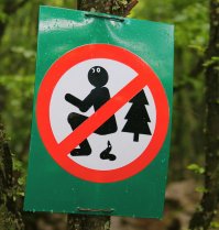 По пути к зубцам Ай петри