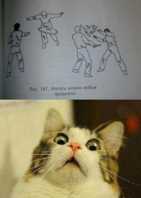 Прикольные фотомемы дня!