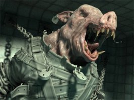 В Индии две разъяренные свиньи прямо посреди улицы напали на женщину