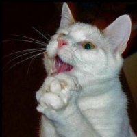 Девушка создает невероятные игрушки ручной работы