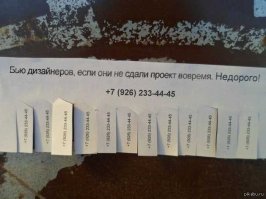 Типичные дизайнеры: какие они?