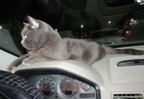 Ездили в Крым все вместе. Беня за рулем )))