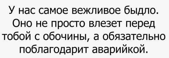 Почему я ненавижу обочечников