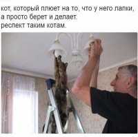 Смешные комментарии и высказывания из социальных сетей