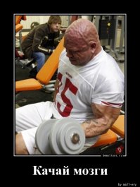 Свежая подборка демотиваторов, которые поднимут вам настроение