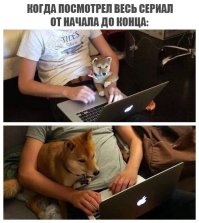 Очередная порция картинок с подписями