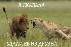 Очередная порция картинок с подписями