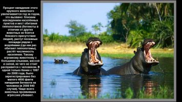 За стеклом и сытые все хороши.