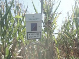 Краснодарский край