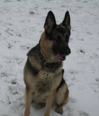 Я по тебе очень скучаю...