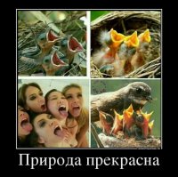 Слева внизу тоже хотят гусеницу. Просто немножко другую.