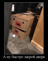 Двадцать секунд пытался найти кота в коробках...