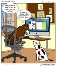 Коты-хакеры, которые неправильно ввели пароль, и были сняты на веб-камеру