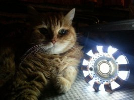 История грустная про глупость, любовь и детей