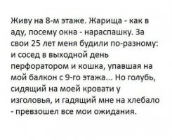 Смешные комментарии и высказывания из социальных сетей